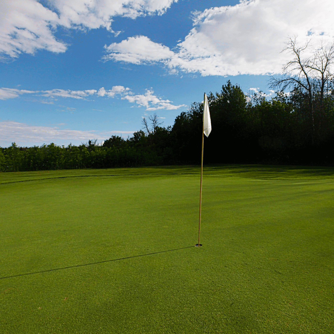 Golf course with an exciting view on Gatineau Hills Golf Kingsway